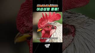 남녀 모두가 행복해지는 여성성형 종류