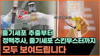 줄기세포주사 전후 후기 ㅣ줄기세포추출, 정맥주사, 스킨부스터 모두 공개합니다!