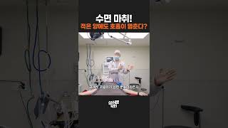 수면마취, 적은 양에도 호흡이 멈출 수 있다? 자가호흡 정지와 기도 확보