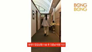 봉봉성형외과 통증적은 원데이 힙업성형 실제 수술 후 리얼영상 공개!